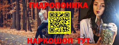шишки Железноводск